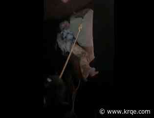 Fort Bliss military crews rescue Alamogordo hiker on Easter