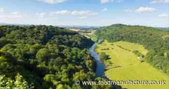 3,000 join legal action against Avara Foods