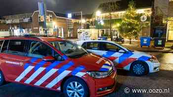 Verdachte zwijgt over lugubere moord op moeder in Landsmeer en wegmaken benen