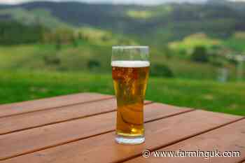 Farmers who are 'strong singers' needed for lager advert