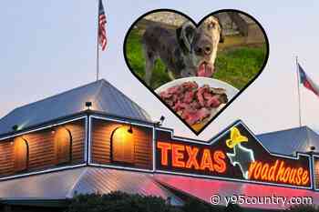 A Customer Asked Texas Roadhouse to Make Dog’s Last Meal — They Obliged, With Love
