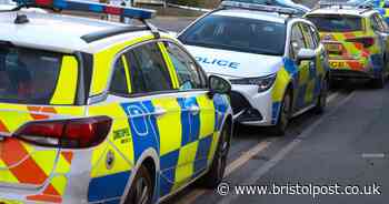 Heavy police presence as man arrested as part of harassment investigation