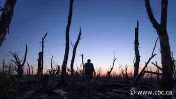 Ukraine war documentary 2000 Meters to Andriivka is a horrifying triumph