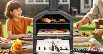 Pizza oven with rain cover falls to almost half-price