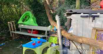 Lewisham childminder in dispute with millionaire labour donor over overhanging trees