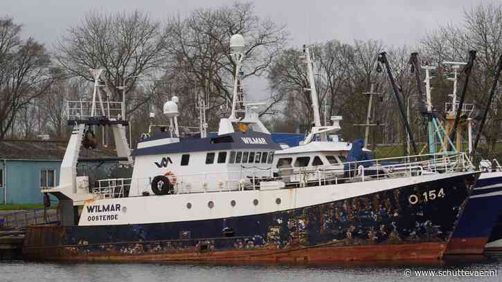 Belgische buitenbeentjes op tong in Bristolkanaal
