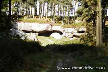 Northumberland hiding spot for precious relic makes UK list of cool things to see