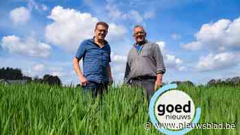 Wandeltocht van Scherpenheuvel naar Lindelhoeven voor het goede doel: “Het is geen omgekeerde bedevaart”