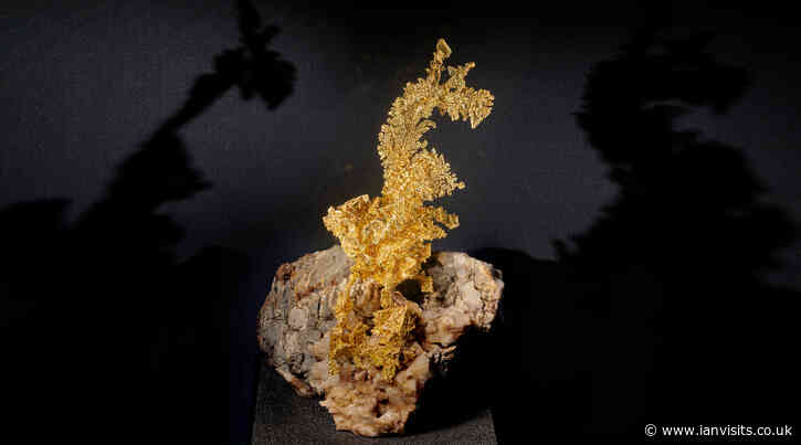 Rare crystallised gold dragon on loan to the Natural History Museum