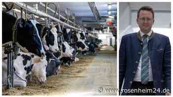 Rinder starben in Bad Aibling: Bekam die Stadt keine Hinweise aus der Bevölkerung?