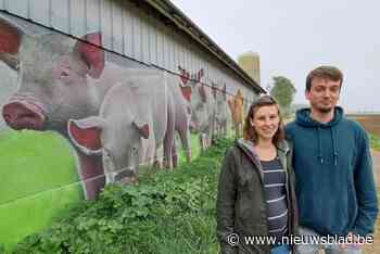 AkkerArt zet landbouw in de kijker: “Mensen nemen nu foto’s bij onze muur”