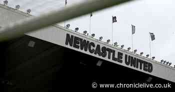 Newcastle United transfer 'dream' sparks joy as new signing spotted at St James' Park