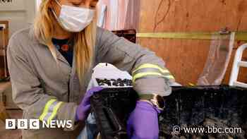 Trump deep sea mining order violates law, China says