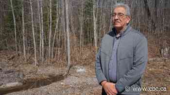 Vote federally for party that'll protect First Nation rights, says head of northern Ontario treaty group