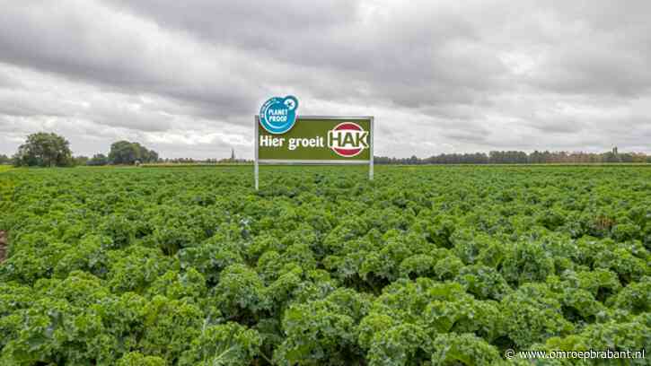 Boerenkool teruggeroepen om stukjes rubber in de potjes