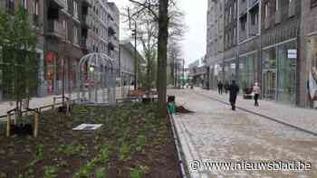 Herinrichting Sint-Martinusplein is klaar, met veel groen, banken en ... een ‘vogelkooi’