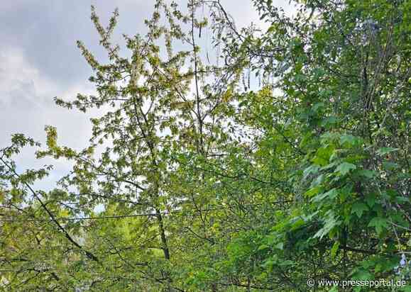 FW Königswinter: Schwerverletzter nach Alleinunfall in Königswinter - Sandscheid