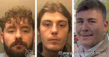 Football fans in 'abhorrent' mass brawl which saw elderly man punched to ground and kicked in head