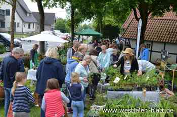 Kaufen und Fachsimpeln auf dem Gartenflohmarkt am Löhner Museum