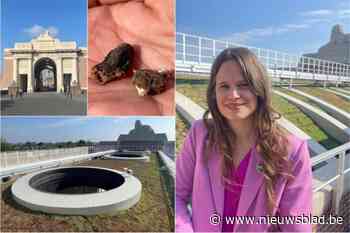 Kogels ontdekt in Menenpoort, voortaan werelderfgoed met groendak: “Vrij uniek”