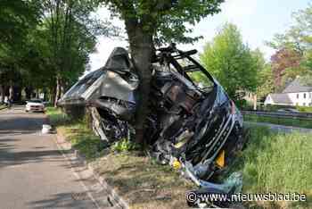 Bus zet schoolkinderen af en eindigt nadien in gracht