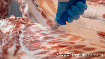 Varkensprijs surft op nieuwe golf verder omhoog