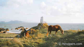 Why Your Photography Should Avoid the Obvious