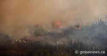 Manitoba to bolster wildfire-fighting efforts with 3 new water bombers