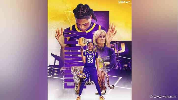 South Carolina guard MiLaysia Fulwiley announces transfer to LSU women's basketball