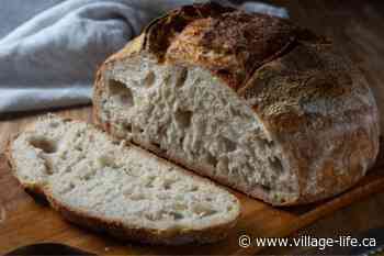 Sourdough is back—here’s why it’s worth the effort to make your own
