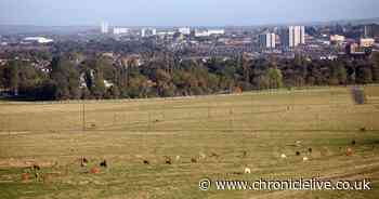 Newcastle Town Moor flood prevention plans approved by city council