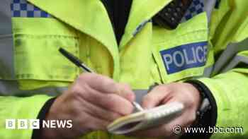 Woman charged over police officer attack