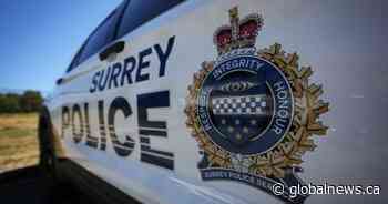 Police seek witnesses to ‘serious’ stabbing in Surrey’s Holland Park