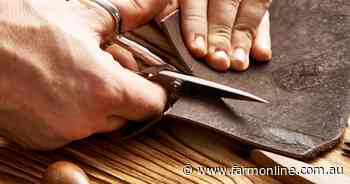 Defending the hide | Australia's leather industry backs ethical production