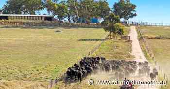 Premier Kyneton grazing property hits the sales market after 120 years