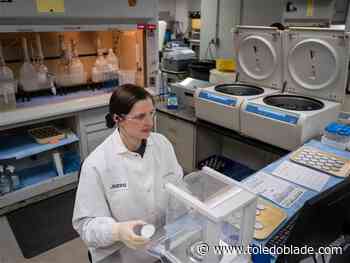 Ohio EPA issues special advisory regarding Luckey water