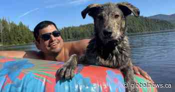 Man charged after pedestrian struck and killed in ‘targeted attack’ on Haida Gwaii