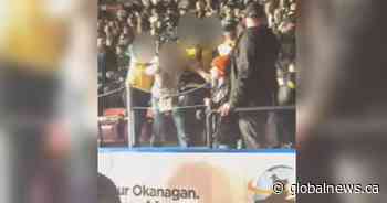 Fans allege security at a Bush concert in Kelowna were using ‘excessive force’