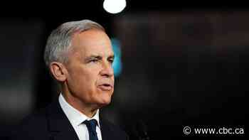 Mark Carney condemns Israeli blockade on food to Gaza