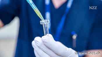 «Wir sollten uns auf einen Ansturm von Forschern aus den USA vorbereiten», sagt der Hochschulmanager