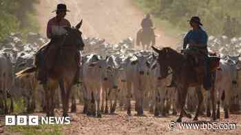 Could South America benefit from Trump's trade tariffs?
