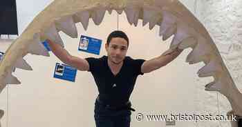 Giant frogs and extinct beasts star in Bristol’s prehistoric sea show