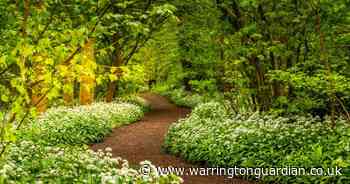 “I love capturing the different moods and beauty of nature around us”