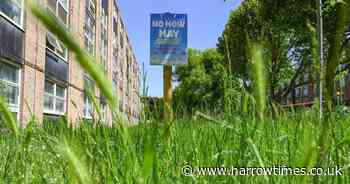 Harrow Council denies abandoning 'no mow May'