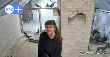 Hannover: Vermieter muss Taubenretter rausschmeißen