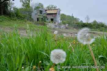 Nach Abriss: Was folgt auf die Kitty Bar?
