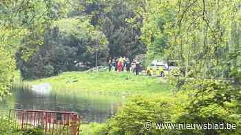 Lichaam gevonden in vijver van Antwerps Stadspark