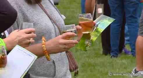 Michiana Wine Festival kicks off festival season in Fort Wayne