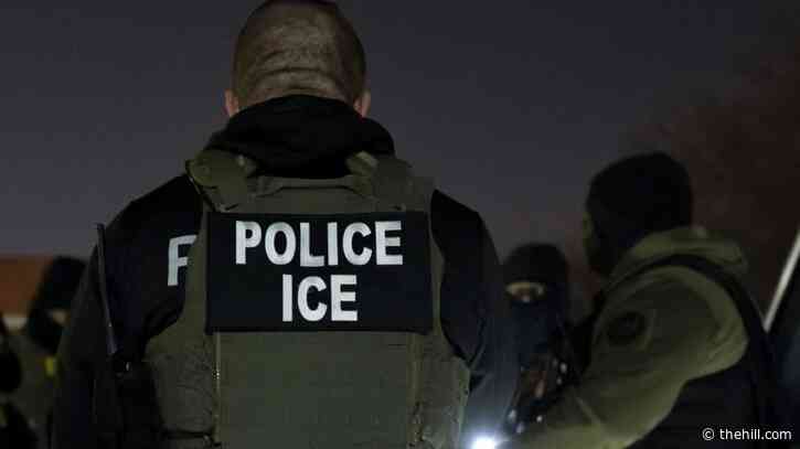 Federal judge suspects 2-year-old US citizen deported without 'meaningful process'