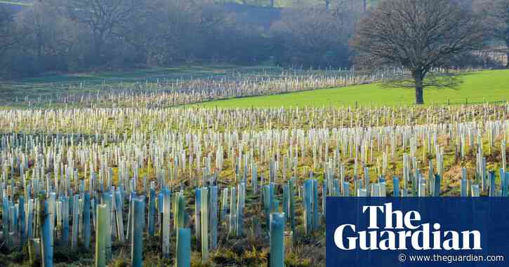 London councils yet to spend £130m in local climate funds